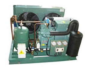 蒸發(fā)冷螺桿低溫速凍型機組